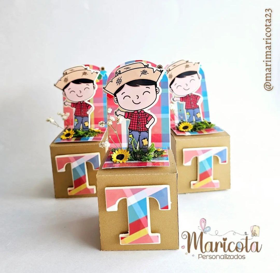 Box Cubo Cenário Simples