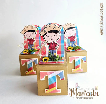 Box Cubo Cenário Simples